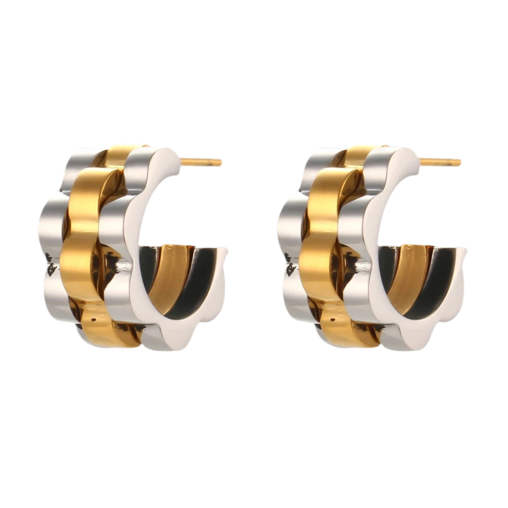 Two-Tone Earrings